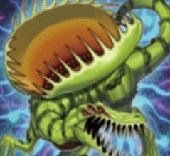 遊戯王 テーマ紹介 捕食植物 カウンターを駆使して戦う融合テーマ